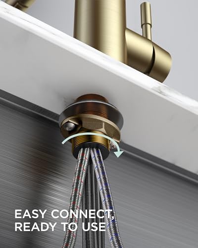 FORIOUS Gold Pull-Down Kitchen Sink Faucet