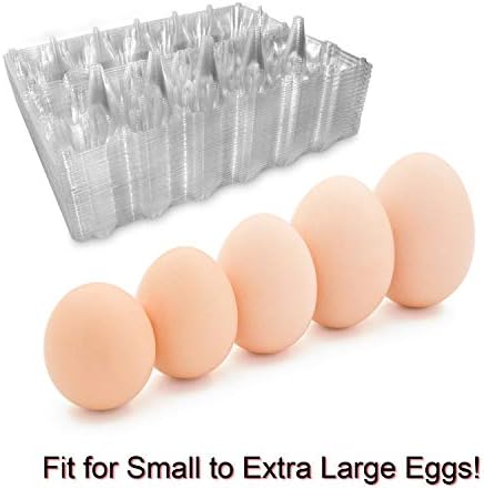 Large Plastic Egg Cartons, 30 Packs, 12 Eggs