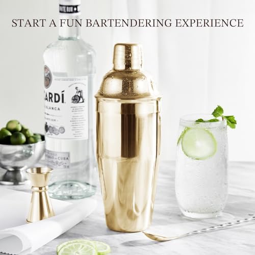 KITESSENSU Cocktail Shaker Set, Stainless Steel Bartending Kit with