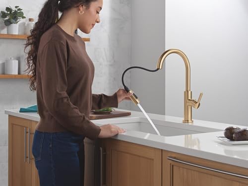 Delta Nicoli Brushed Gold Pull-Down Kitchen Faucet 19867LF-CZ