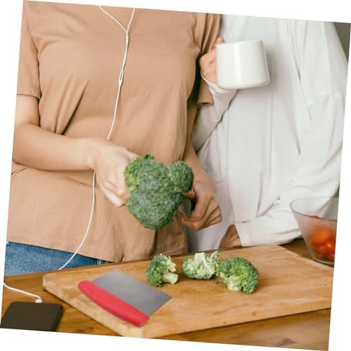 Dough Chopper with Measure Scale Stainless Steel Dough Cutter Pizza