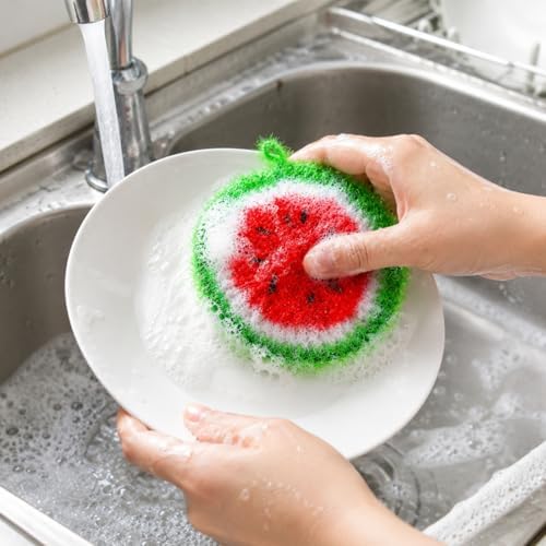 16 Pieces Fruit Dish Scrubber, Non-Scratch