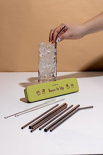 Designworks 8 Silver Stainless Steel Straws w/Plastic Travel Case