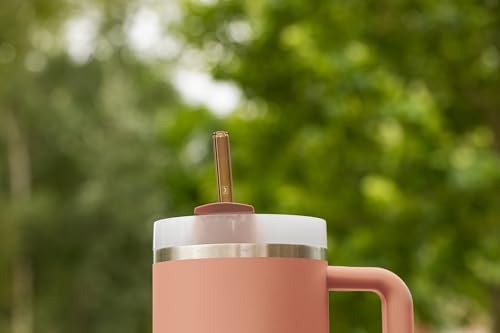 HALM Stanley Quencher Tumbler Glass Straws 3 Pastel Colors Pink Purple