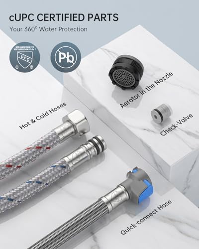DAYONE 2 Handle Kitchen Faucet with Pull Down Sprayer, 4 Holes Sink