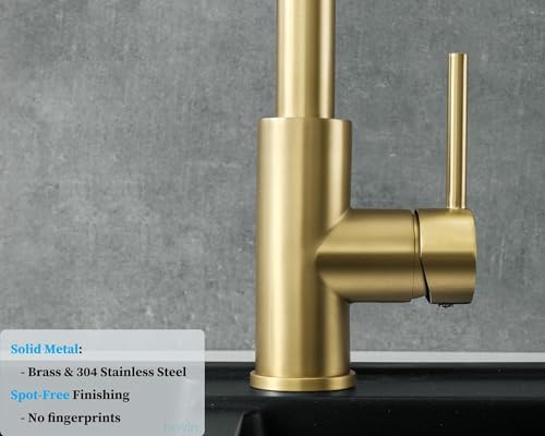 Havin Gold Kitchen Faucet with 10 inch Deck Plate