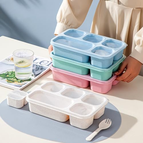 TOUWMX 4 Pack Bento Box, 5 Compartments