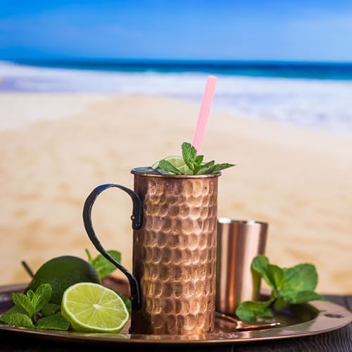 4 Sets Portable Reusable Drinking Straws Set with Case and Keychain