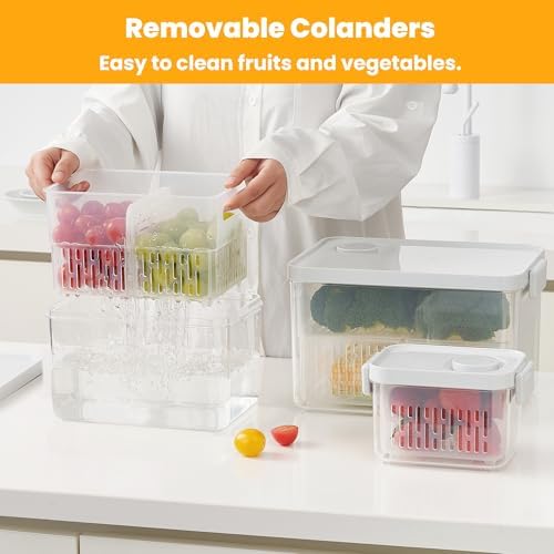 vacane Dishwasher Safe Berry Keeper, 3.8 Cup