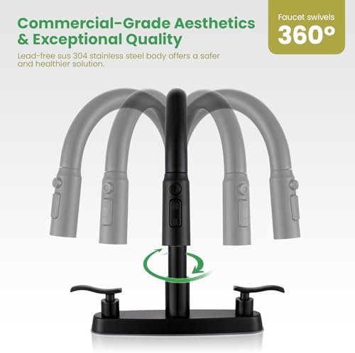 Matte Black 8-Inch 2-Handle Kitchen Faucet