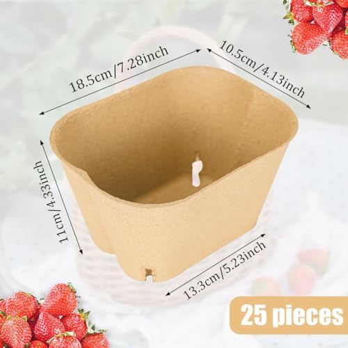 Large Pulp Fiber Berry Basket Container for Produce Cardboard Fruit