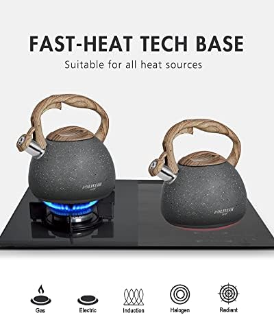POLIVIAR 2.7 Quart Natural Stone Stainless Steel Tea Kettle