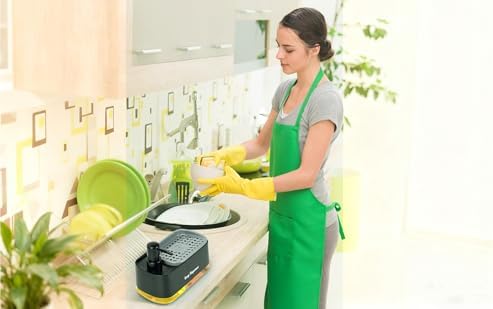 Dual Soap Dispenser Set for Kitchen, Black