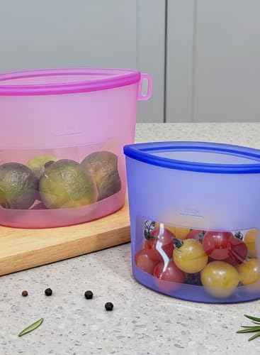 Reusable Silicone Food Storage Bags (Set of 4), Dishwasher Oven