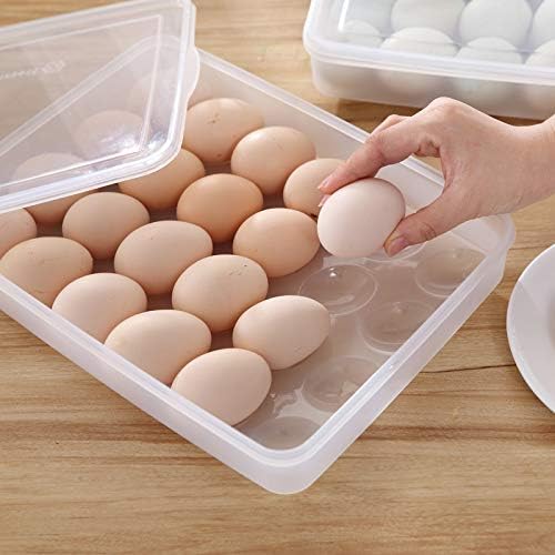Sooyee 2 Pack Covered Egg Holders for Refrigerator,Clear 2X24 Deviled