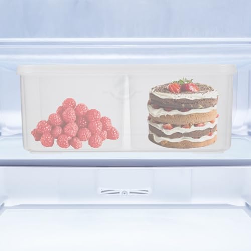 PP Food Storage Container Kitchen Organizer Box Four Compartment with