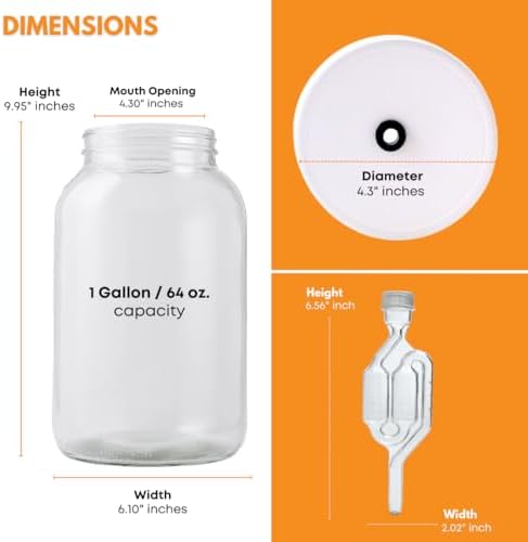 2-Pack 1 Gallon Glass Jars with Lids
