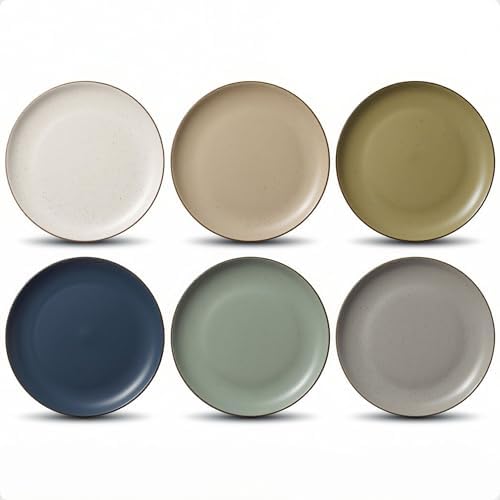 Ceramic Dinner Plates Set of 6, 10.25 Inch, Stoneware, 6 Beautiful
