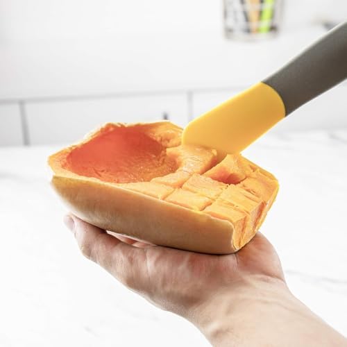 Tovolo 2 in 1 Squash Corer Tool Double Ended Seed Remover Slicer for