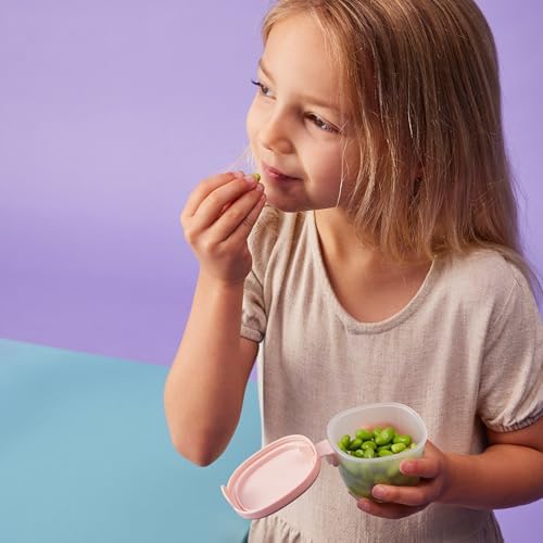 b.box Snack Tubs 3-Pack, Food Containers for Lunch, 4oz + 2oz Sauce