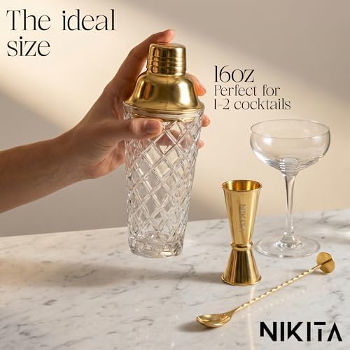 Nikita Cocktail Shaker, 5-Piece Martini Shaker & Bartender Kit with