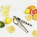 304 Steel Lemon Squeezer Citrus Press