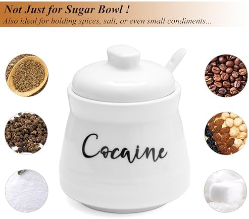Ceramic Sugar Bowl with Lid and Spoon Funny Sugar Container for Coffee