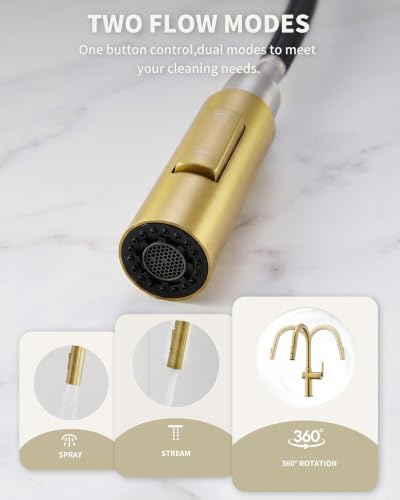 Tohlar Gold Kitchen Faucet with Pull-Down Sprayer