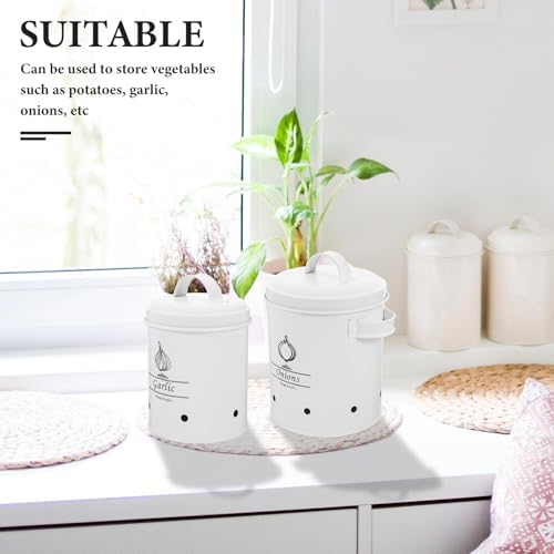 jojofuny Potato Storage Bins, 2pcs Iron Canisters for Onions and
