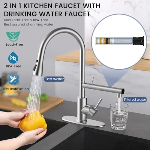 FEELSO Filter Water Kitchen Faucet, Pull-Down Sprayer, Brushed Nickel