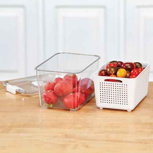 Fox Valley Traders Storage Container with Drain Basket and Divider by