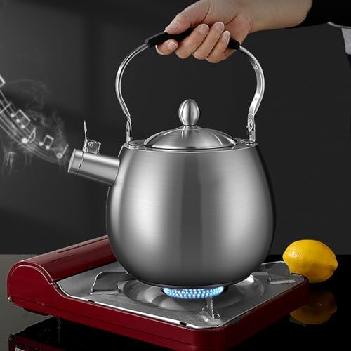 4.2 Quart Tea Kettle, 316 Stainless Steel