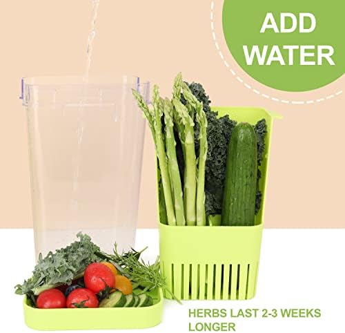 LUVCOSY Fresh Herb Keeper for Refrigerator, Clear BPA-Free