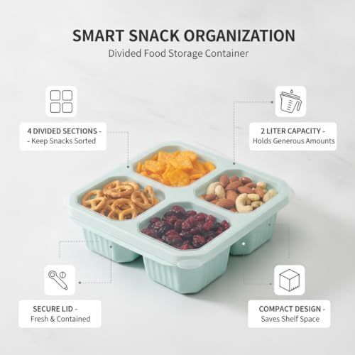 Home Organizers 4-Compartment Snack Box with Lid, Divided Dry Food