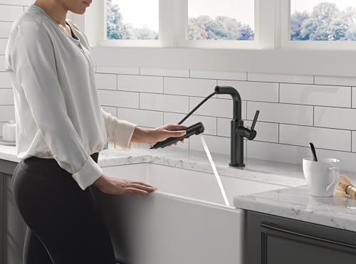 Delta Daneri Matte Black Pull-Out Kitchen Faucet 16879-BL-DST