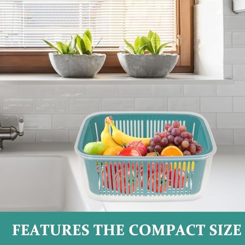 2pcs Fridge Food Box with Drainer, Stackable Plastic Storage