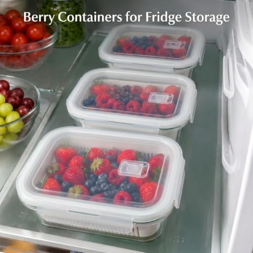Glass Berry Containers for Fridge, 5 Pack