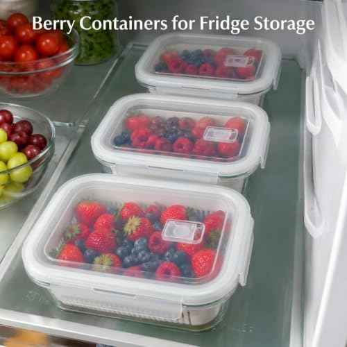 4 Pack Glass Berry Storage Containers for Fridge