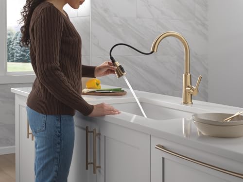 Delta Finnridge Brushed Gold Pull-Down Kitchen Faucet 19730LF-CZ