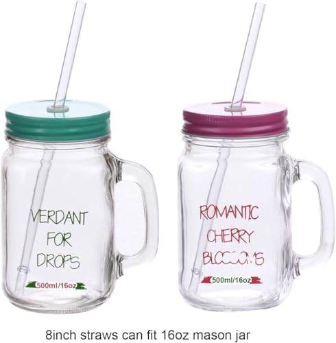 DAKOUFISH 6 Inch 7 Inch 8 Inch 9 Inch 10 Inch 11 Inch Clear Reusable