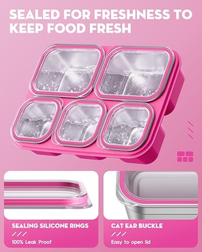 BiuLeon Snackle Box Containers, Stainless Steel 5 Compartments Divided