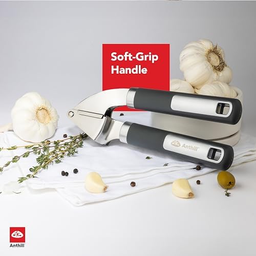 Anthill Stainless Steel Garlic Press, Grey