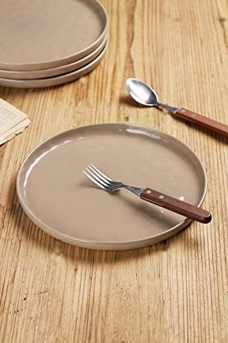 famiware Mars 6 Pieces Dinner Plates, 10.25 inch Plate Set, Scratch