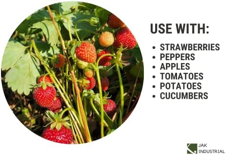 1.5 Qt Berry Basket Set - 25 Pack for Produce