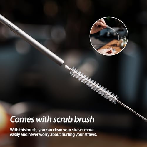 iBasingo Reusable Titanium Straw Set with Cleaning Brush Ti1018T