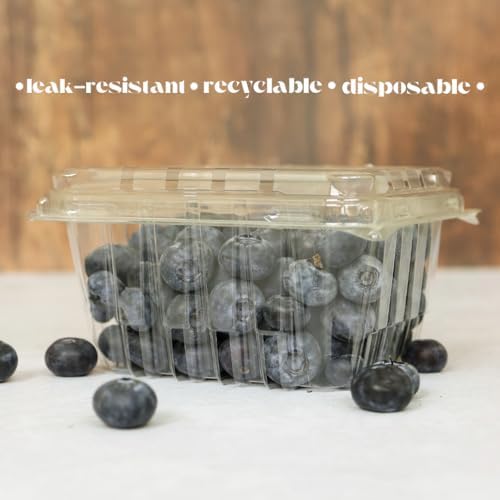 Plastic Berry Containers - 35 Pack