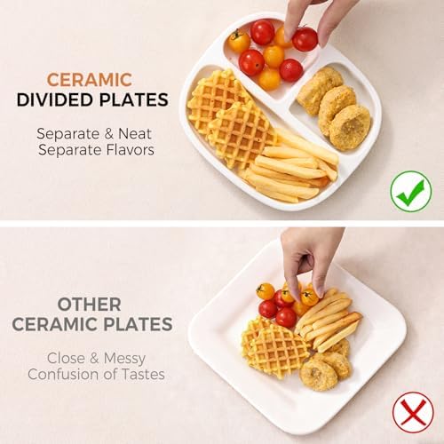 8.58" Square Ceramic Divided Plates Set of 4, Portion Control Plates
