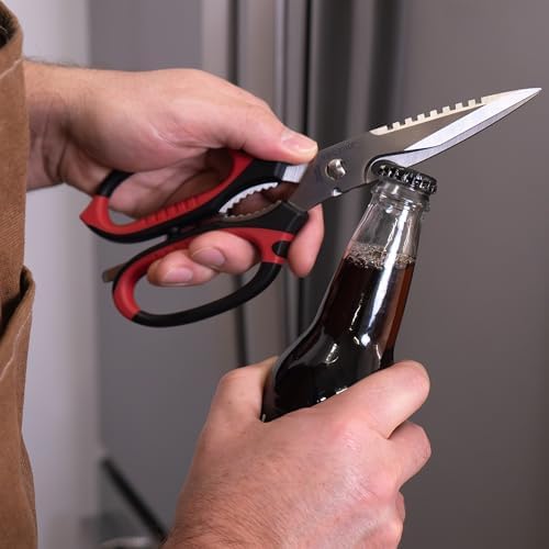 Joyce Chen Deluxe Multi-Purpose Kitchen Shears, 9-Inch Heavy-Duty