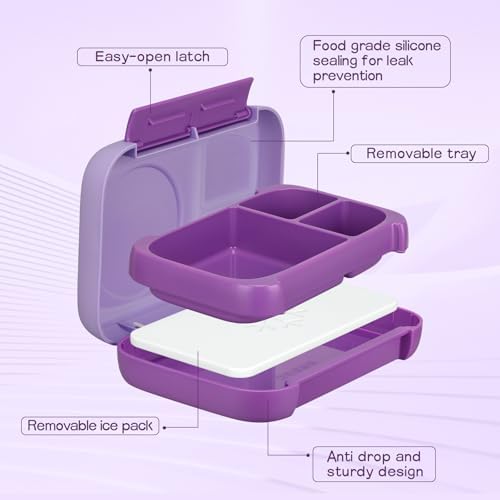 MAISON HUIS Chill Bento Lunch Box for Kids Adult with Ice Pack 3