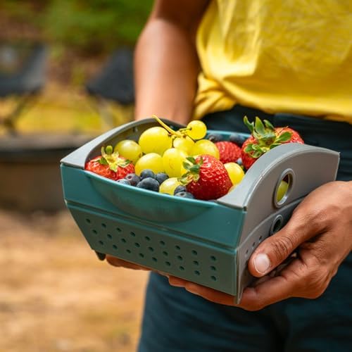 Coghlan's Snapfold Mini Colander – 1-Quart (.95 L) Compact